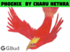 This is the Phoenix Drawing by Charu Nethra