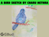This is the A bird drawn by Charu Nethra