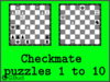 Solve the checkmate puzzles 1 to 10. Train and improve your chess game, strategy and tactics