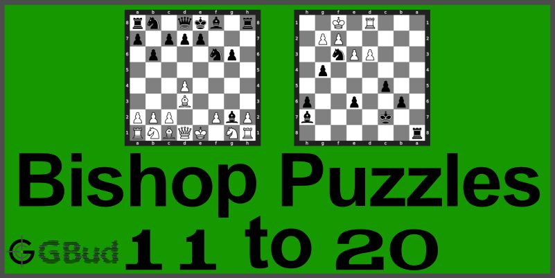 Easy Chess Puzzles 11 to 20