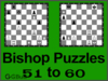 Chess bishop puzzles 51 to 60