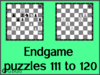 Chess endgame puzzles 111 to 120