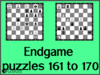 Solve the chess endgame puzzles 161 to 170. Train and improve your chess game, strategy and tactics