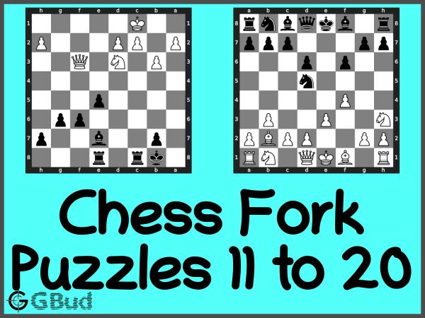 Chess rook puzzles 11 to 20
