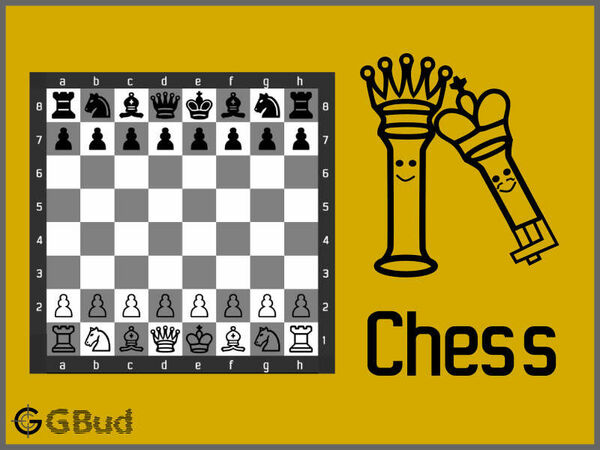 Play Chess Online for FREE - 2 Player Chess 