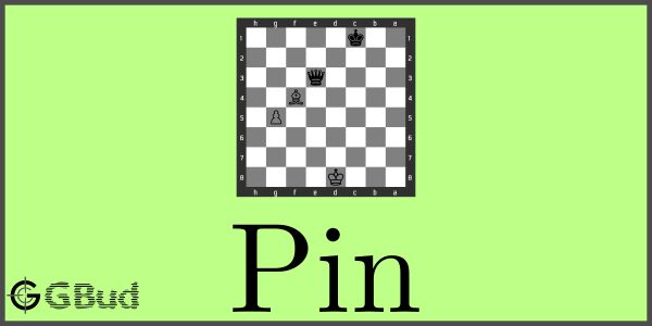 What is a pin in chess? - Chess Terms 