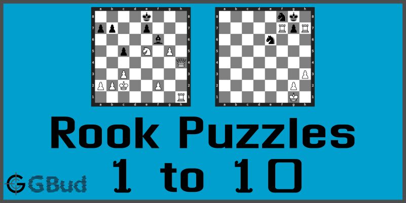 Two Rook Mate Practice Worksheet for kids
