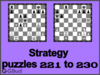 Chess strategy puzzles 221 to 230