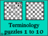 Solve the chess terminology puzzles 1 to 10. Train and improve your chess game, terminology and tactics