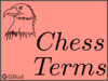 Different chess terms, chess terminologies are discussed here.