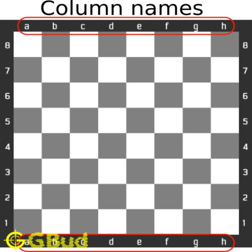 Chess Column