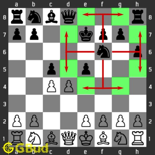 How Does Each Chess Piece Move? - Chessquid