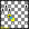Solve all Pawn puzzles 41 to 50 puzzles