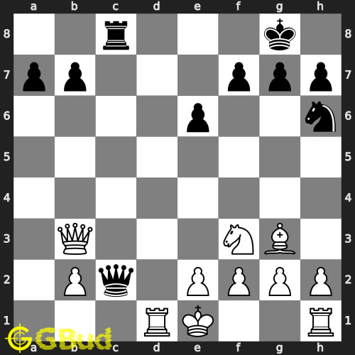 Chess rook puzzles 11 to 20