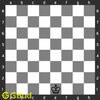 Default position of white king at chess board