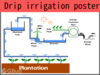 Download the poster on sustaiable drip irrigation in pdf format for free