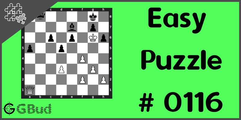 How to Solve Chess Puzzles –