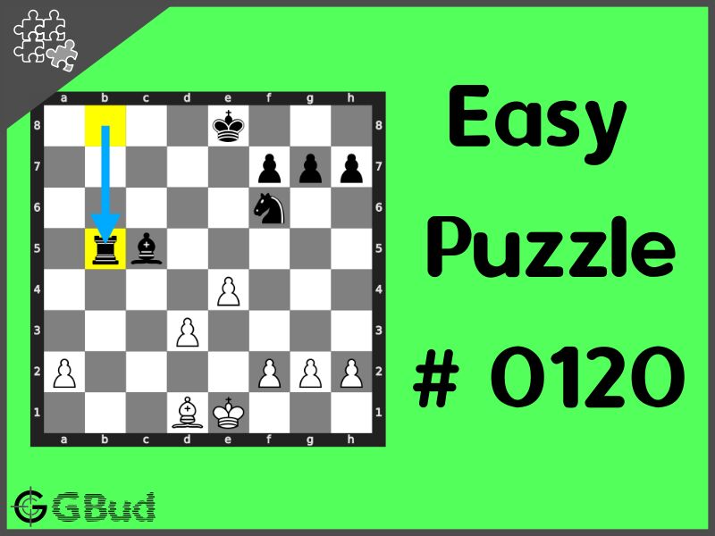 Chess Puzzles Kerala - How To Play Chess With Yourself