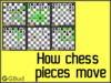 Learn chess in an easy way. Learn about board setup, chess pieces, moves in chess game, rules of chess and much more.