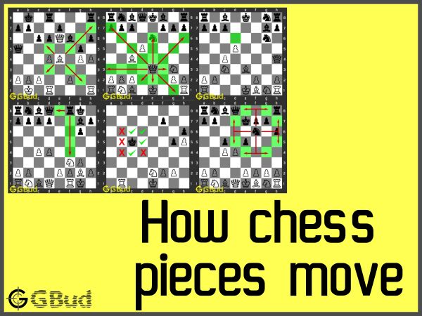 Chess pieces moves