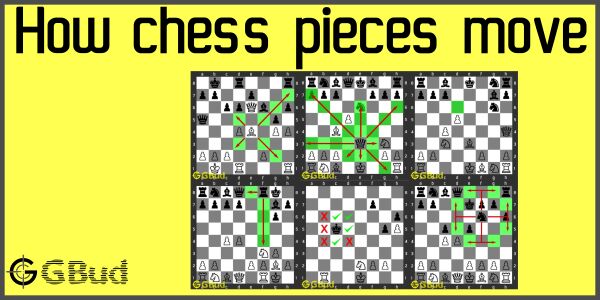 chess piece moves