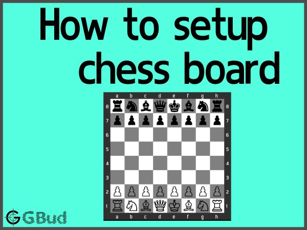 chess board setup. The position of all pieces at the beginning of the game