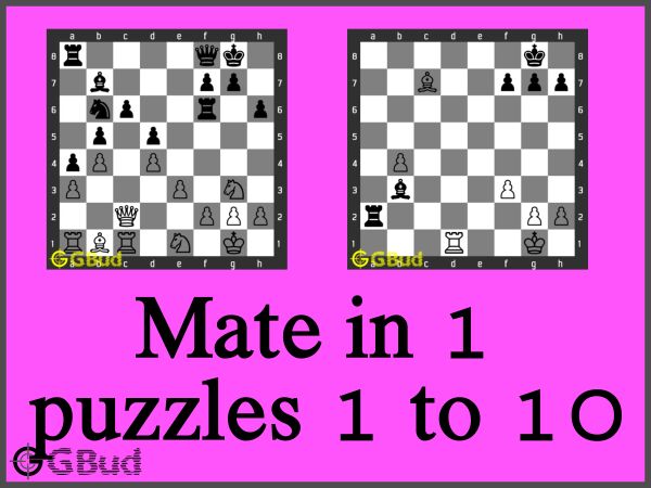PDF] D.O.W.N.L.O.A.D 500 Chess Puzzles, Mate in 1, Beginner Level PDF Full  / X