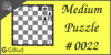 Solve the medium chess puzzle 22. Mate in 2 moves. Train and improve your chess game, strategy and tactics