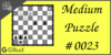 Solve the medium chess puzzle 23. Gain rook. Train and improve your chess game, strategy and tactics