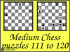 Solve the free medium chess puzzles. Train and improve your chess game, strategy and tactics. You can download the medium chess puzzles worksheets in pdf form for print.