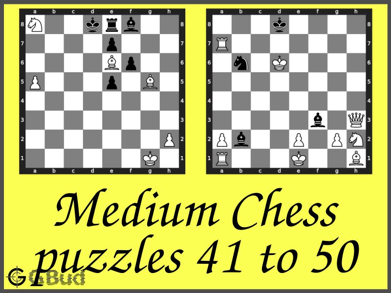 Chess Puzzles Worksheets