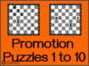 Solve the pawn promotion puzzles 1 to 10 in chess. Train and improve your chess game, strategy and tactics. Pawn can be promoted to either queen, rook, knight or bishop